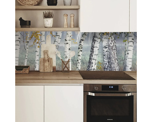 Küchenszene mit Spritzschutz mit Birkenwald-Motiv, Herd und Regalen