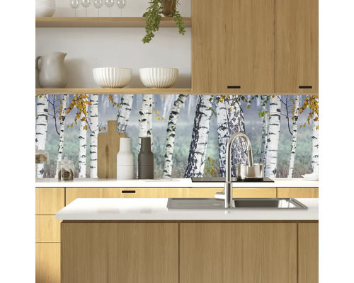 Küchenrückwand mit Birkenwaldmotiv in einer modernen Küche