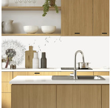 Crédence de cuisine mySpotti Profix Dandelion pissenlit fleurs 160 x 60 cm PX-16060-1508-HB