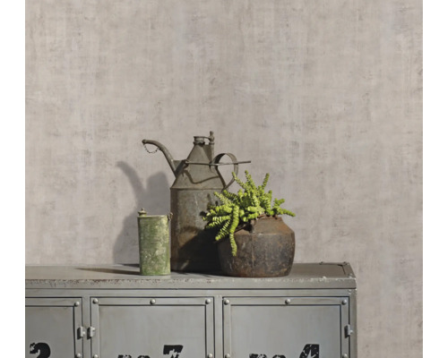 Dekorative Stillleben mit Gießkanne, Pflanze und Metallschrank