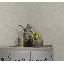 Dekorative Szene mit Vintage-Kanne, Pflanze und Metallschrank