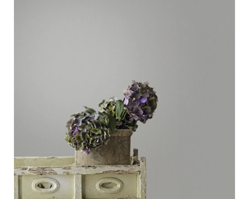 Hortensien in einem Topf auf einem kleinen Regal