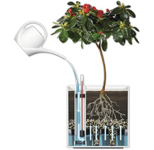 Illustration d''un système d''irrigation pour plantes avec arrosoir et indicateur de niveau d''eau