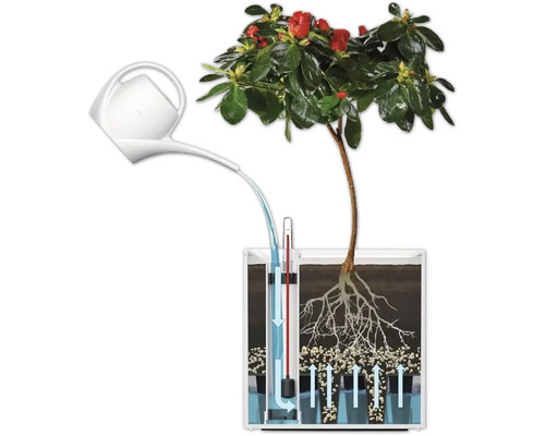 Illustration d''un système d''irrigation pour plantes avec arrosoir et indicateur de niveau d''eau