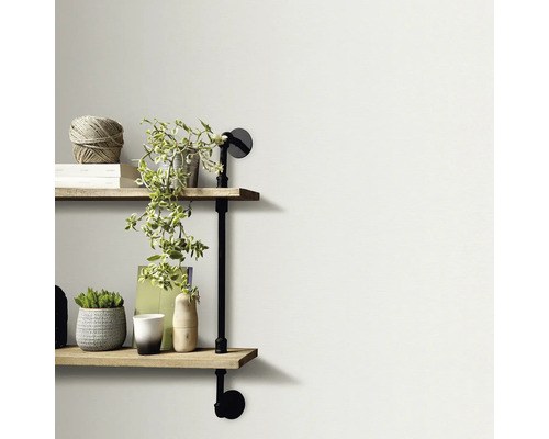 Wandregal mit zwei Regalböden, Dekoration und Pflanzen