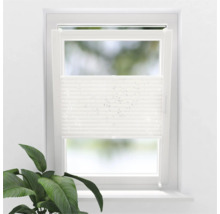 Fenêtre avec store plissé pour protection solaire
