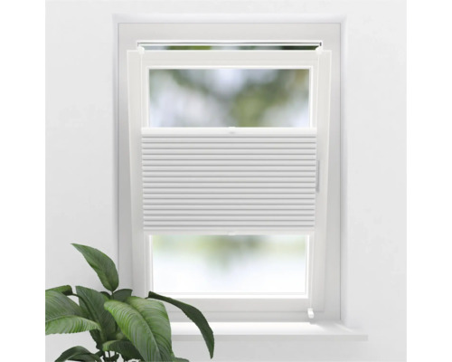 Store plissé alvéolaire SOLUNA avec guidage latéral occultant thermo blanc 75x220 cm Store plissé blanc sur fenêtre pour réguler la lumière