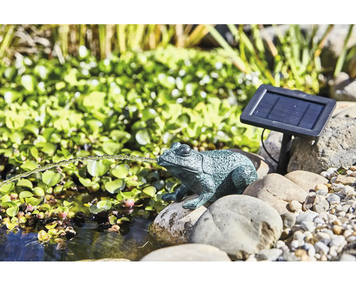 Frosch Solar Springbrunnen als Gartendekoration in Teichnähe.