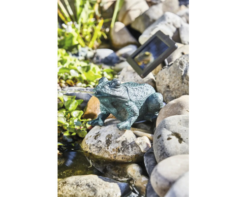 Solarbetriebener Froschbrunnen für den Gartenteich