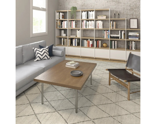 Salon avec canapé, table basse, bibliothèque et tapis
