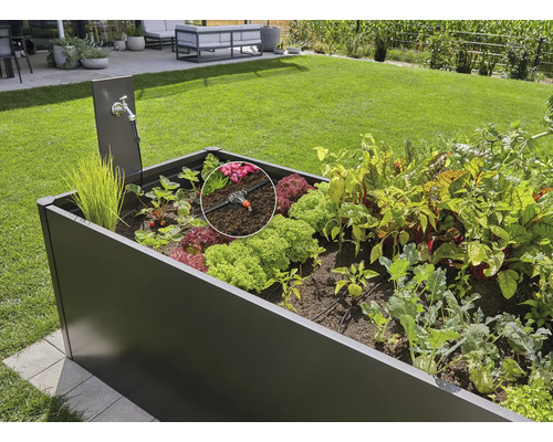 Hochbeet mit Bewässerungssystem und verschiedenen Gemüsesorten im Garten
