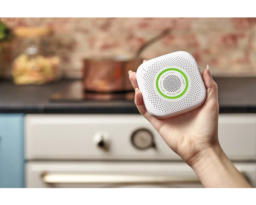 Hand hält Kohlenmonoxidmelder vor dem Hintergrund einer Küche