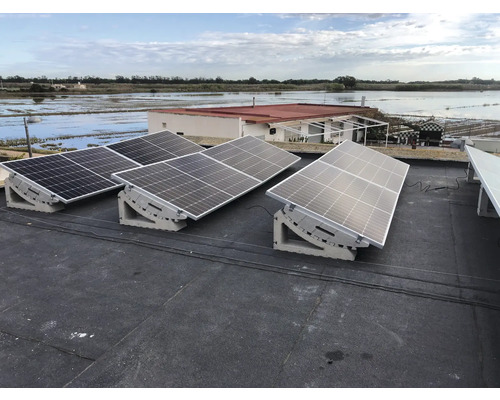 Auf einem Dach montierte Solarpanels zur Energiegewinnung.