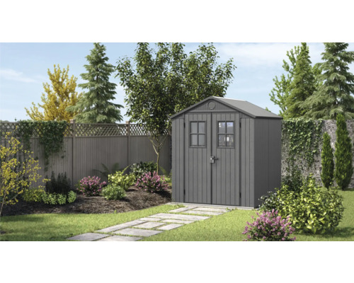 Abri de jardin Keter Darwin 6x8 avec plancher 183 x 244 cm anthracite