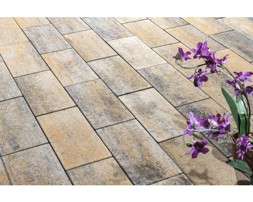 Pavés rectangulaires en pierre sur une surface.