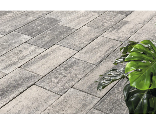 Pose de pavés à l''extérieur avec des plantes décoratives