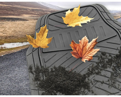 Schwarze Automatte mit Blättern und Schmutz