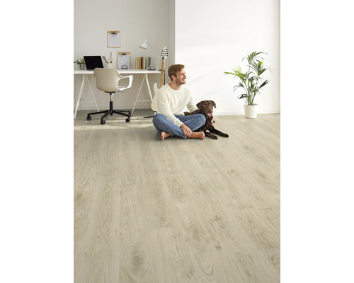 Heller Raum mit Laminatboden, Mann und Hund sitzen darauf, im Hintergrund Schreibtisch und Gitarre