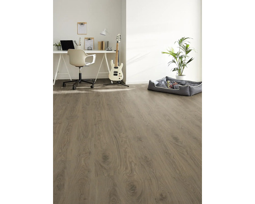 Heller Raum mit Laminatboden, Schreibtisch, Stuhl, Gitarre, Zimmerpflanze und Hundebett