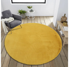 Wohnzimmer mit rundem, gelbem Teppich, Sessel und Holzboden.