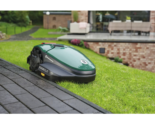 Tondeuse à gazon robot sur pelouse