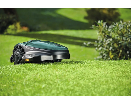 Robot tondeuse sur pelouse