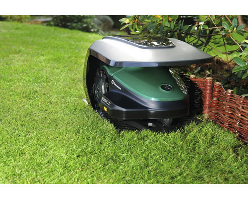 Tondeuse robot sur pelouse