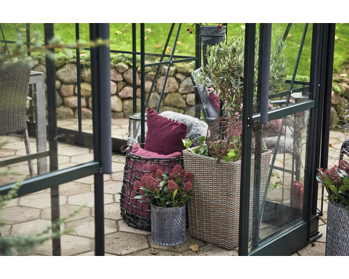 Dekoratives Gewächshaus mit Pflanzen und Sitzgelegenheiten für den Garten