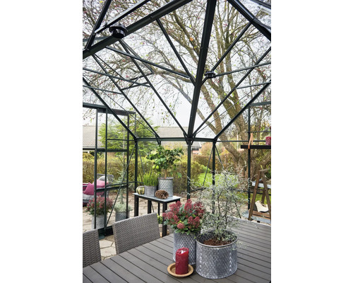 Innenansicht eines Gewächshauses mit Tisch, Stühlen und Pflanzen