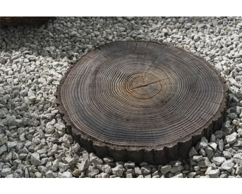 Baumscheibe auf Kies