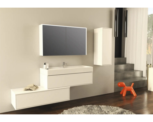 Salle de bain moderne avec meuble sous-vasque, armoire de toilette, armoire suspendue et décoration