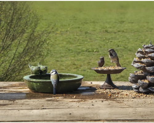 Scène avec abreuvoir à oiseaux, mangeoire et oiseaux dans le jardin