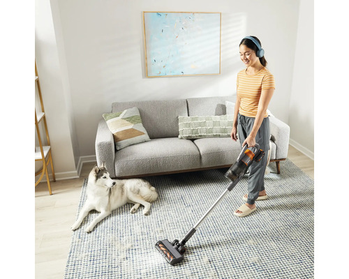 Une femme passe l''aspirateur sans fil sur un tapis dans un salon pendant qu''un chien regarde.