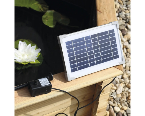 Solar-Teichpumpe mit Solarmodul und Teichpflanze im Hintergrund