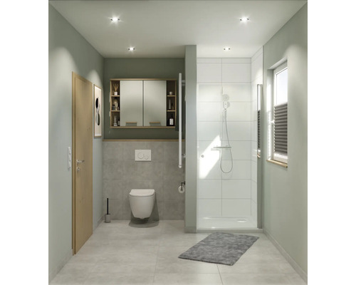 Salle de bains avec douche, toilettes, lavabo et miroir