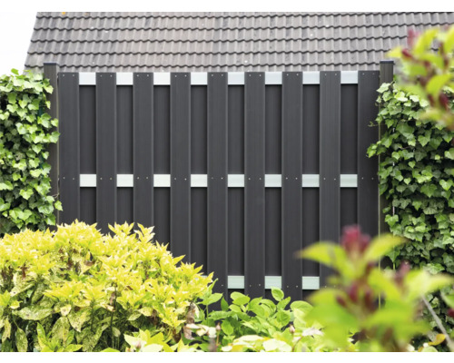 Clôture d''intimité en plastique avec des accents argentés dans le jardin