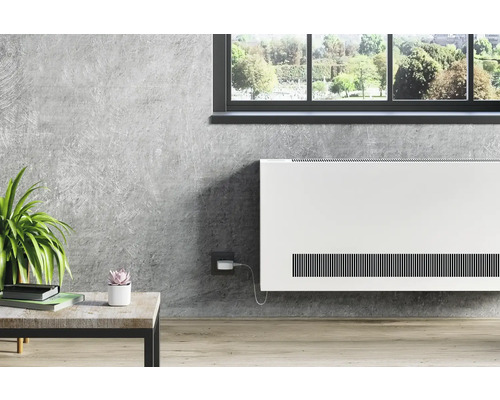 Wohnraum mit Heizkörper, Tisch und Zimmerpflanzen vor dem Fenster