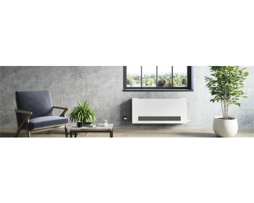 Wohnzimmer mit Heizkörper, Sessel, Tisch und Pflanzen für eine angenehme Atmosphäre