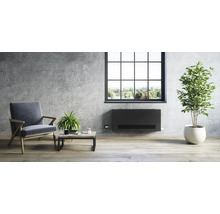 Modernes Wohnzimmer mit Heizkörper, Sessel, Tisch und Zimmerpflanzen.