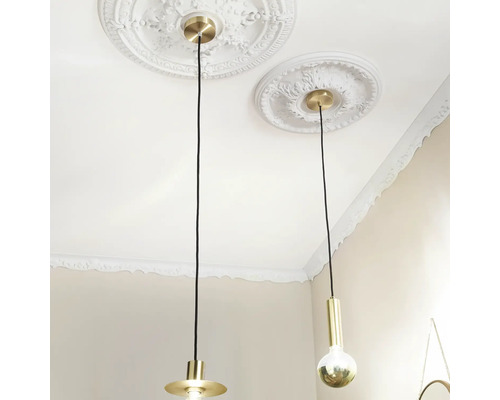 Deux suspensions avec rosaces de plafond dans une pièce lumineuse.