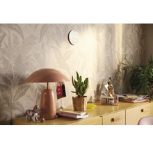 Vliestapete 39654-5 Stories of Life Farn Blätter beige-gold