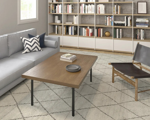 Salon avec canapé, tapis, table basse, chaise et bibliothèque