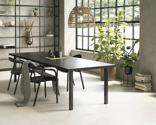 Salle à manger avec table, chaises, étagère et plantes