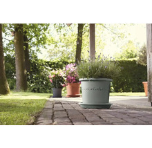Pots de fleurs avec plantes sur une terrasse dans un jardin.