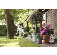 Scène de jardin avec un homme et une femme se portant à dos, ainsi que diverses fleurs dans des pots