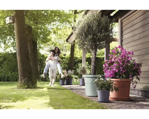 Scène de jardin avec un homme et une femme se portant à dos, ainsi que diverses fleurs dans des pots
