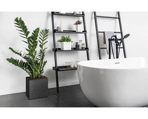 Salle de bains avec baignoire îlot, étagère échelle et plante d''intérieur