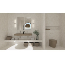 Badezimmer mit Waschbecken, Spiegeln, Dekoration und Toilette