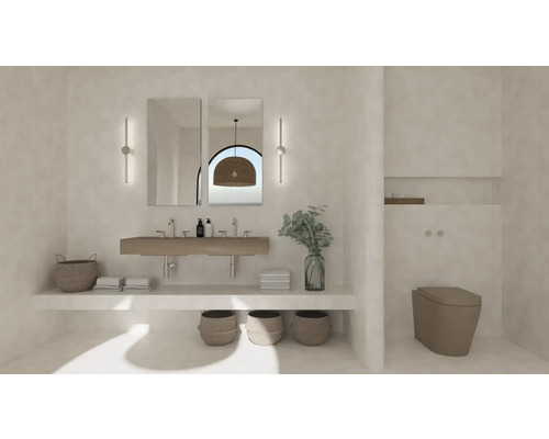 Salle de bain avec lavabo, miroirs, décoration et toilettes