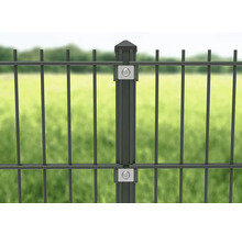 Poteaux 6 x 4 x 240 cm pour clôture de 183 cm de hauteur RAL 6005 vert mousse